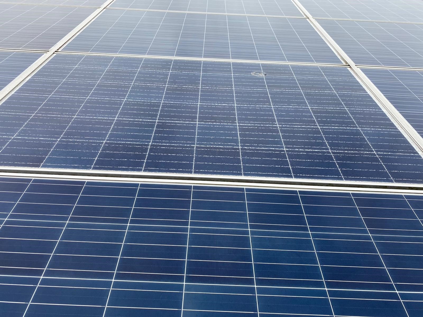 Solarpark Reinigung: Sichtkontrolle von PV Modulen